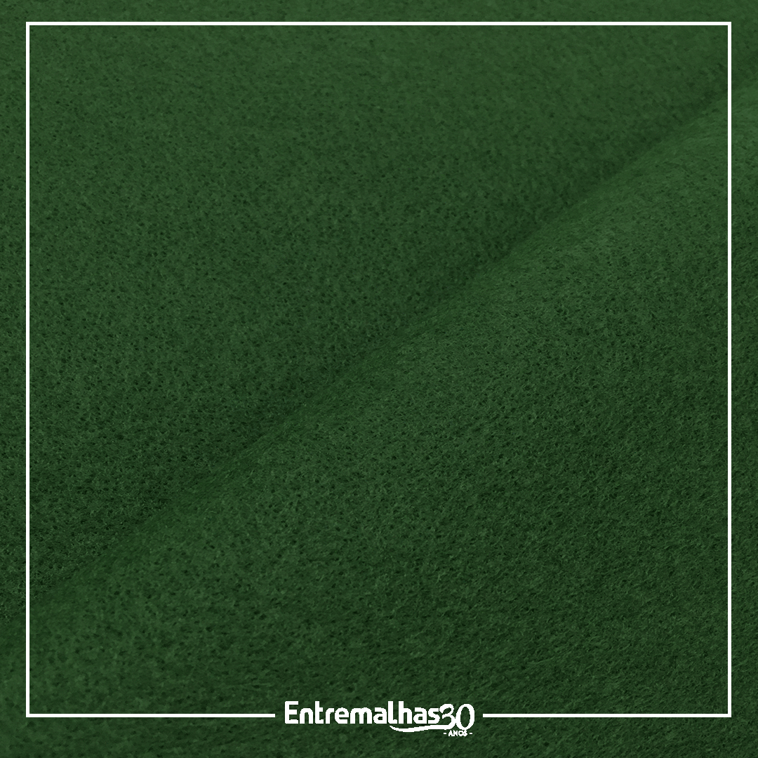 Tecido Feltro - Verde Ref.:858205