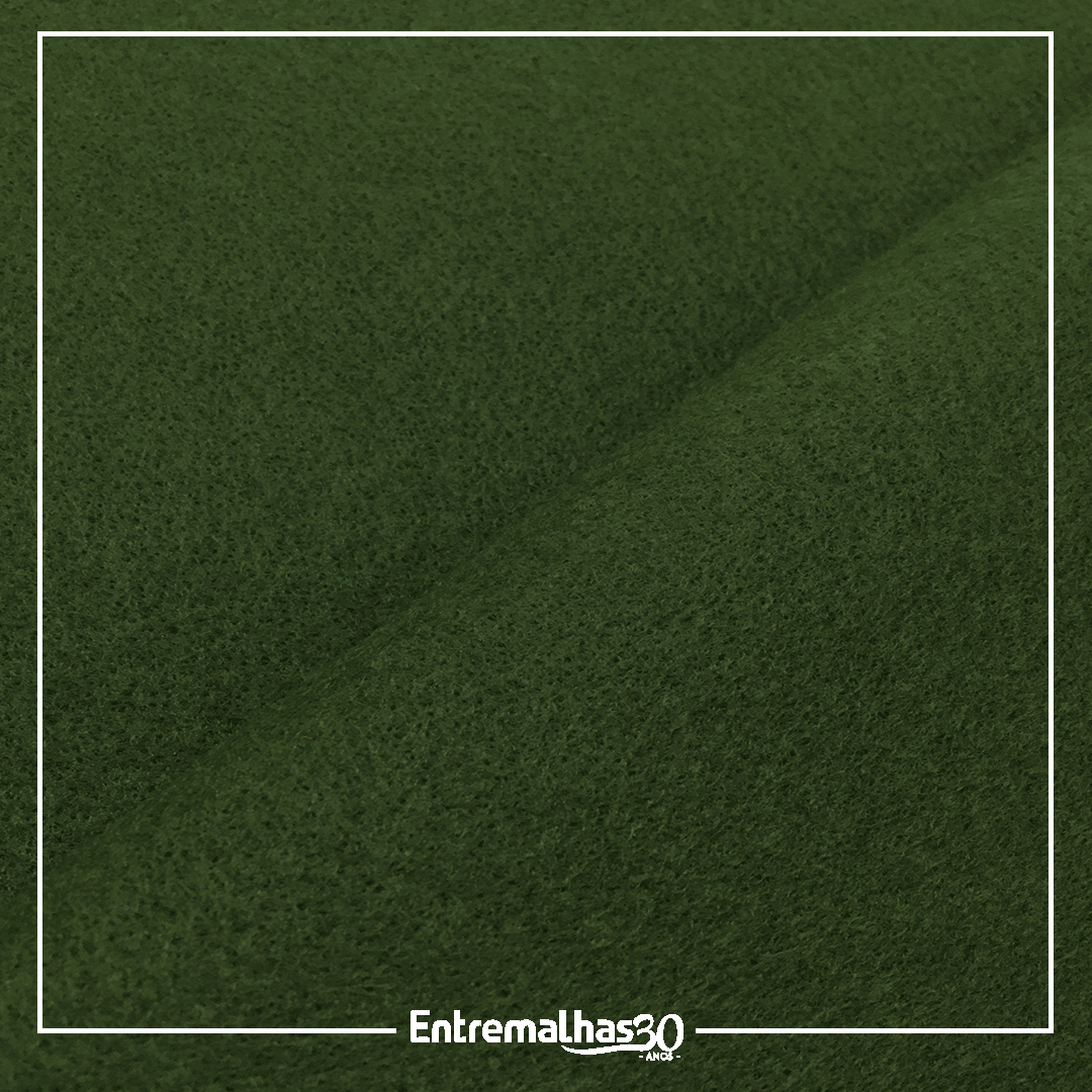 Tecido Feltro - Verde Ref.:858205