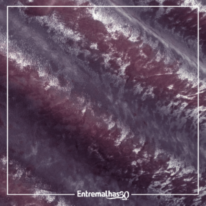 Tecido Veludo Molhado - Roxo Ref.:457002