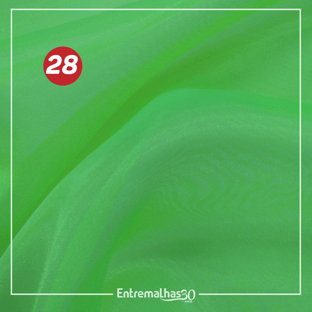 Tecido Organza Cristal - Verde Ref.:858885
