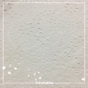Tecido Broderi Laise Barrado - Branco